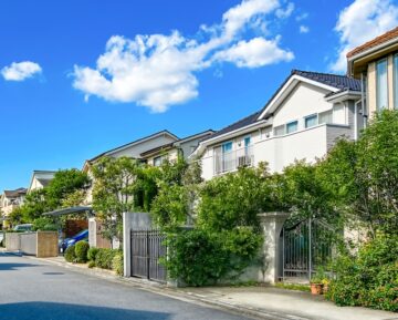 隣家から伸びている木の枝は切ってもOK？（画像はイメージ）