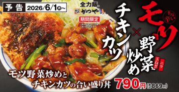 「モツ野菜炒めとチキンカツの合い盛り丼」