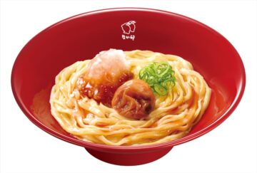 「紀州南高梅おろしうどん」