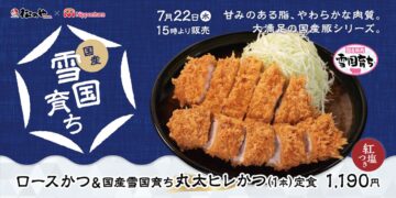 「国産雪国育ち丸太ヒレかつ」のキービジュアル