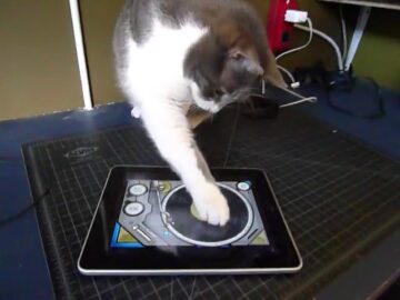 iPadのアプリでレコードをスクラッチ!