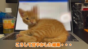 かわいすぎる“確信犯”の大胆な行動とは……？