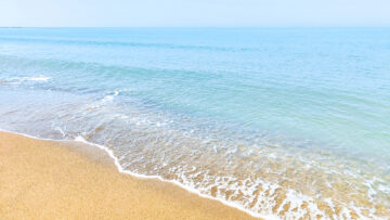 海岸で見つけた際に触ってはいけない生物とは?(画像はイメージ)