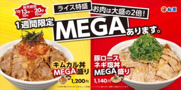 「MEGA盛りフェア」のキービジュアル