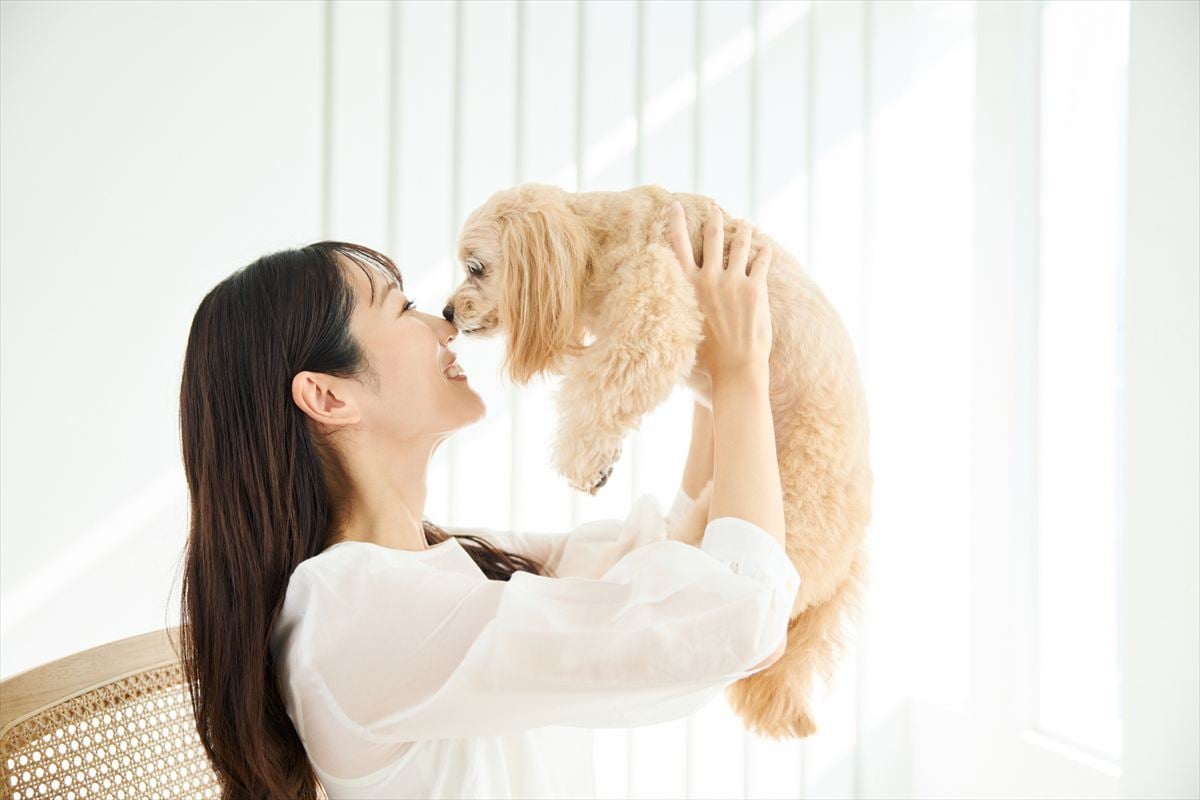 「仕事の疲れを犬が癒やしてくれる瞬間」はある？ ない？