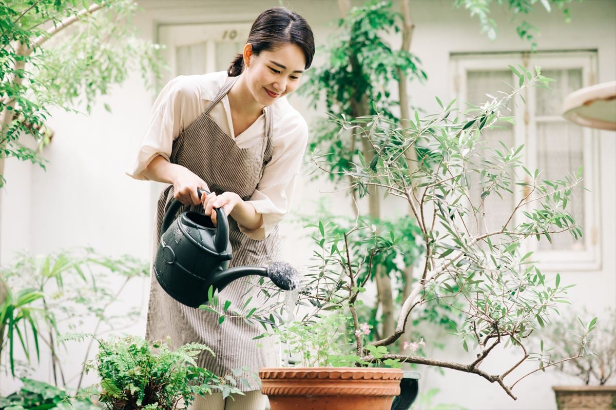 趣味がない人におすすめの「趣味」ランキング